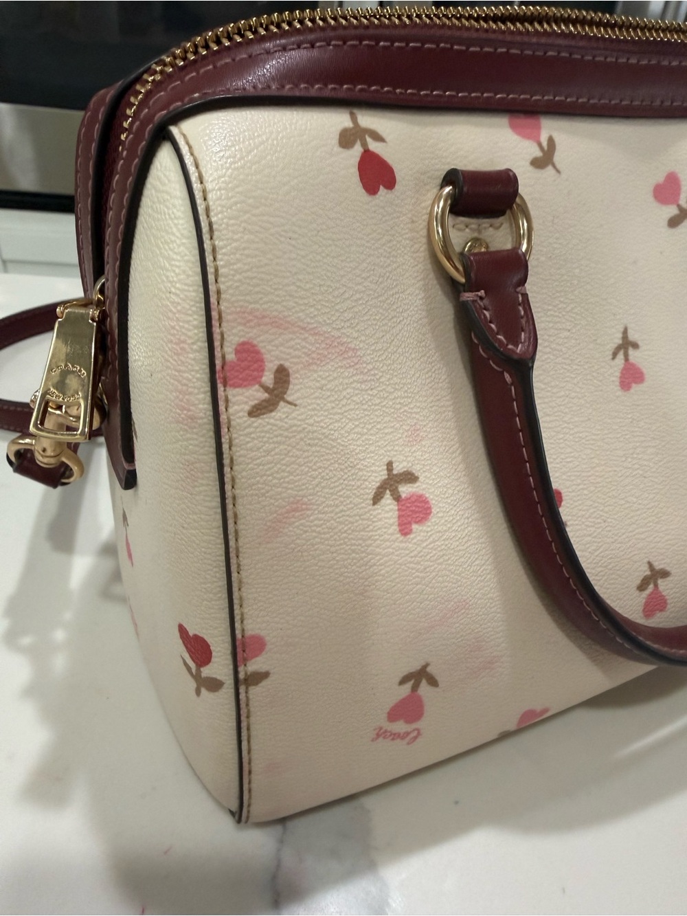 Coach Rowan Satchel with Matching Pouch - Picture 11 of 14